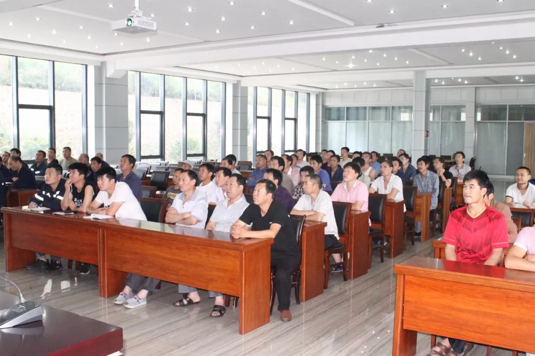 圆梦钱包 - 安全支付工具|专业数字钱包平台
