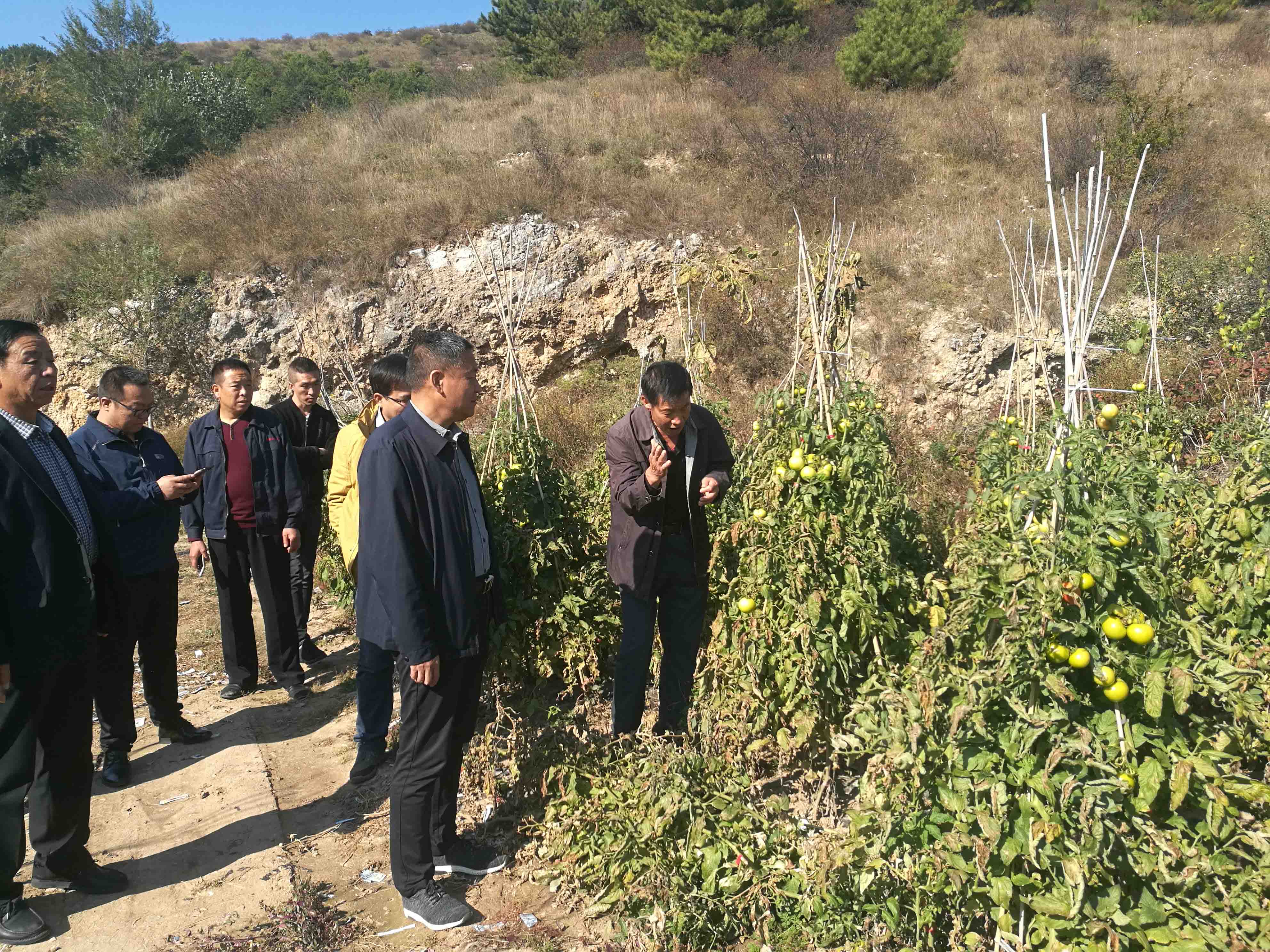 圆梦钱包 - 安全支付工具|专业数字钱包平台