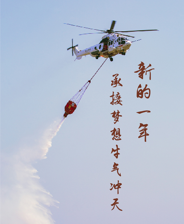圆梦钱包 - 安全支付工具|专业数字钱包平台